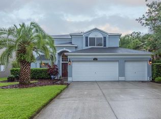 13133 Royal George Ave, Odessa, FL 33556