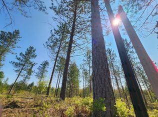 PARCEL Five Ryno A K A #M-72, Mio, MI 48647