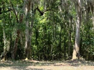 0 Briar Patch Pl NE, Townsend, GA 31331