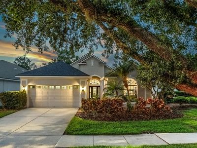 9608 Greenpointe Dr, Tampa, FL, 33626