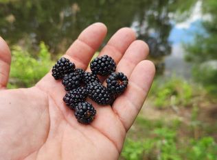 391 S County Line Rd, Columbia, MS 39429