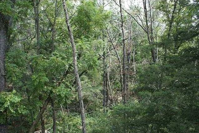 1st image of Harborough Dr