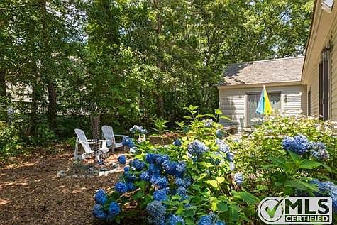 Mulched yard, no mowing!!