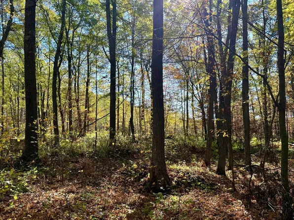 County Road 8, Brainerd, MN 56401