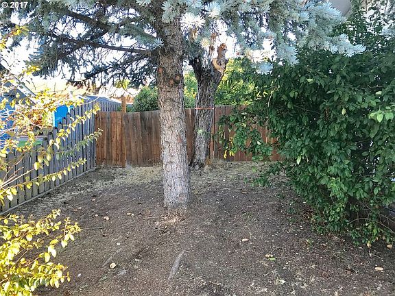 5th image of 817 Elm Dr