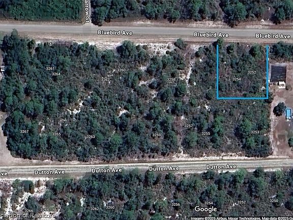 4th image of 3254 Bluebird Ave