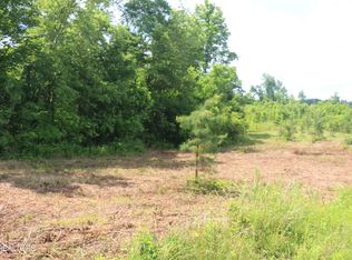 TRACT 1 N Nopone Valley Rd, Decatur, TN 37322