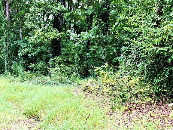 2nd image of Love Springs Rd