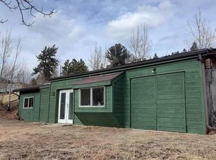 388 Clark Rd, Bailey, CO 80421