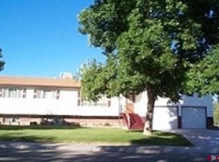 100 Vista View Dr, Montrose, CO 81401