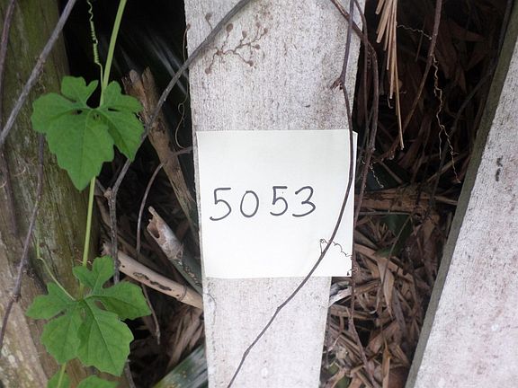 2nd image of 5053 Woodland Dr