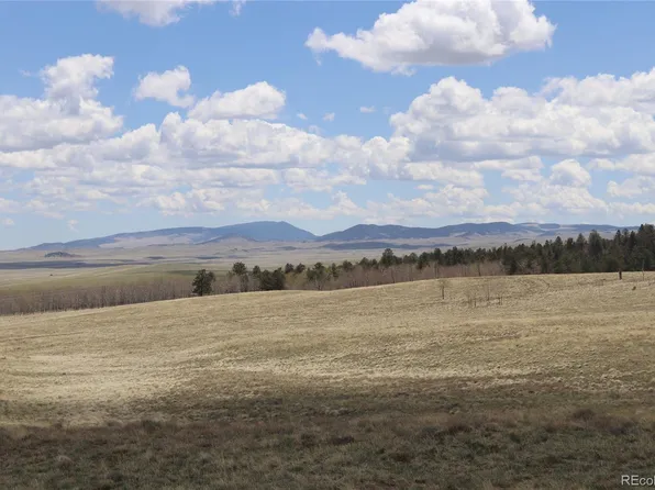 11633 Ranch Road LOT 1020, Hartsel, CO 80449