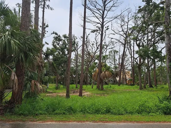 401 W 1st St NW Lot 4, Steinhatchee, FL 32359