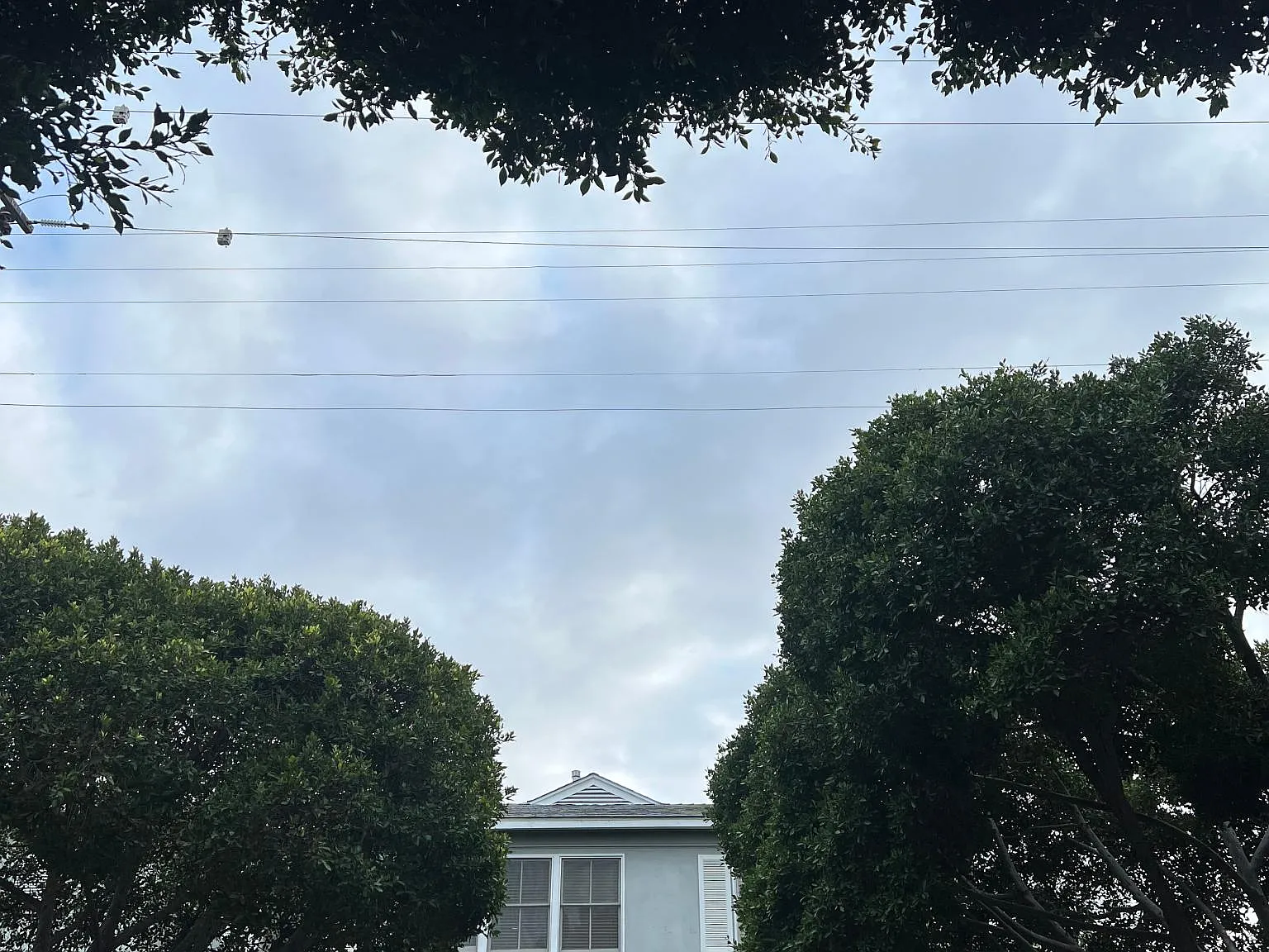 1252 Franklin St — Photo 2