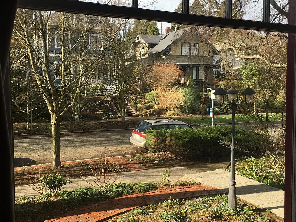 View from front window