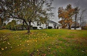 Apple,Pear, and Cherry Trees