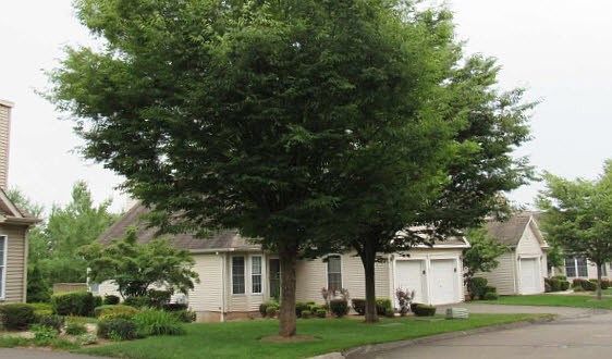 2nd image of 25 Hamden Hills Dr Unit 42