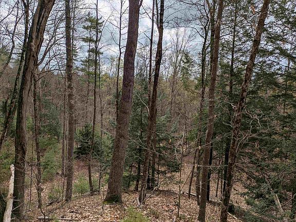 4th image of South Scofield Mountain Road
