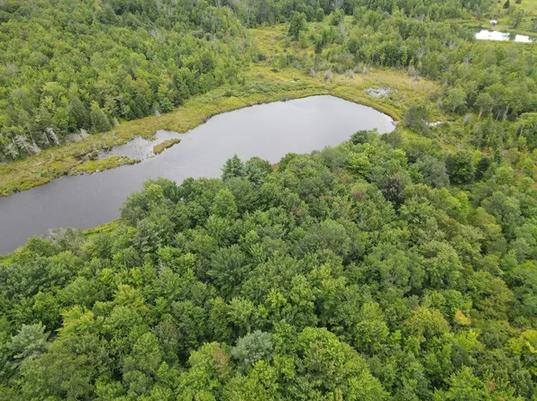195 Bush Rd, Gilboa, NY 12076