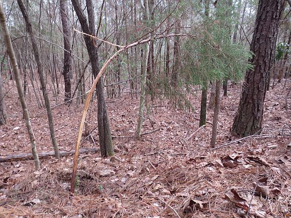 5th image of Billy Newsome Rd Lot Wp001