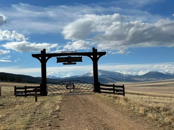 00 County Road 7, Fairplay, CO 80440
