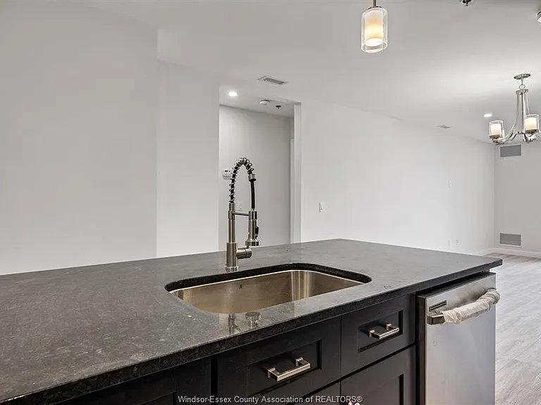 1500 Ouellette Ave #305 — Photo 20