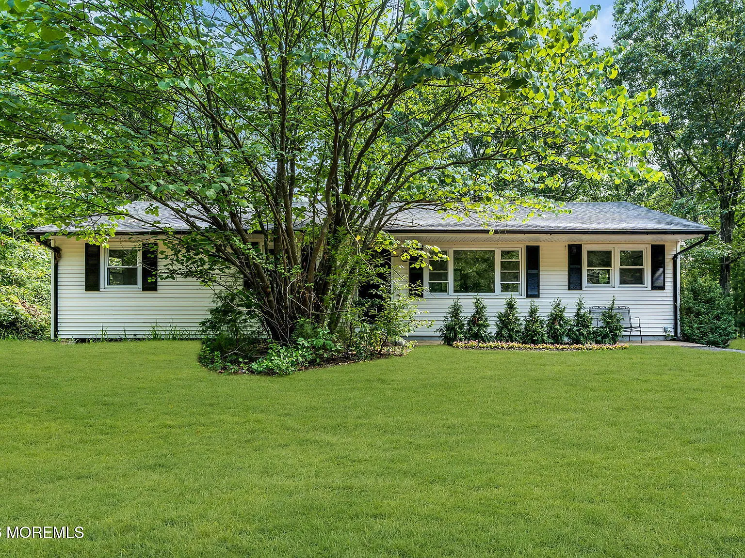 3 bed, 1.5 bath, 1319 sqft, $3,650 — Photo 4