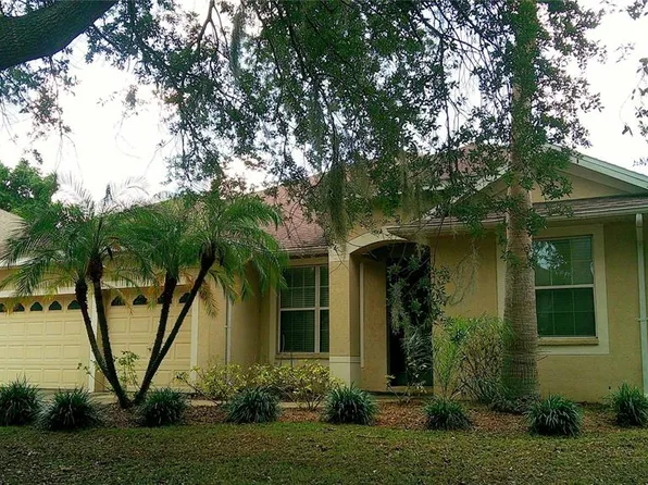 609 Cedar Waxwing Dr, Brandon, FL 33510