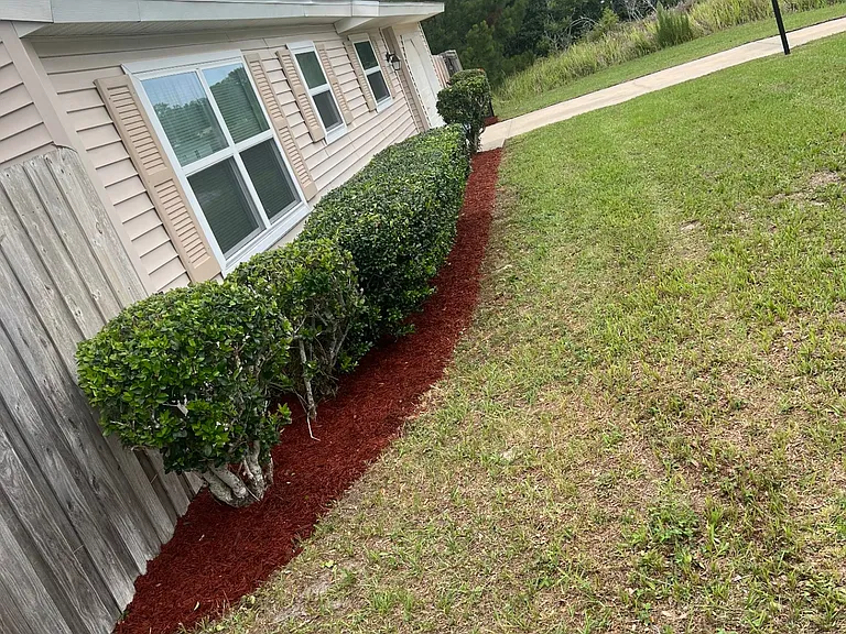 Side view of front mulch bed.