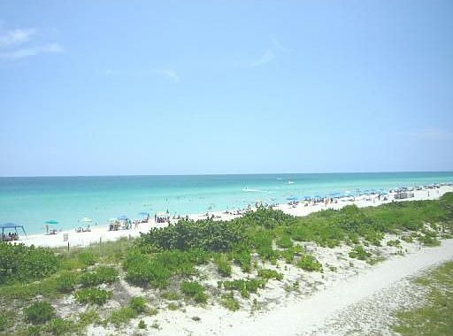 3rd image of 7135 Collins Ave APT 613