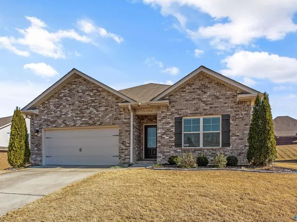 14328 Water Stream Dr, Harvest, AL 35749