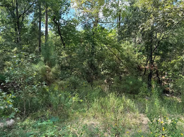 Honeysuckle Lot 10, Livingston, TX 77351