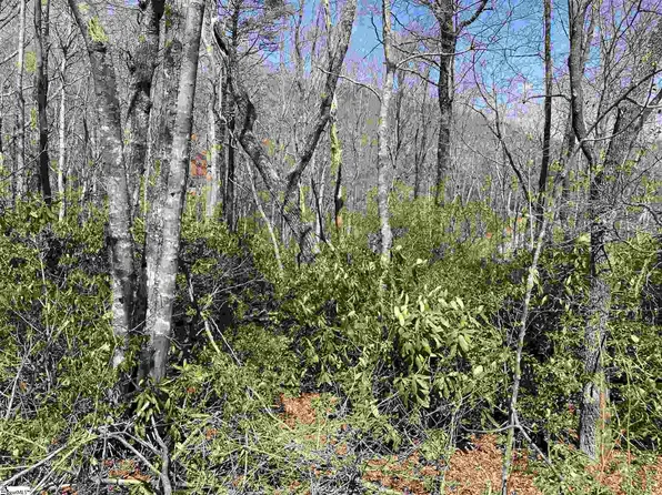 12 Blazing Star Trl, Landrum, SC 29356