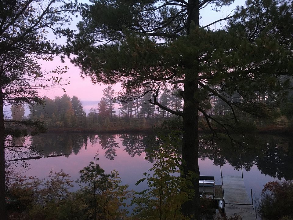 Pond early morning.
