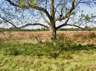 223 N Blizzard Town Road, Beulaville, NC 28518