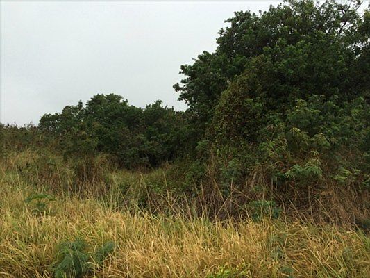 5th image of Kia Kahi St Lot 209