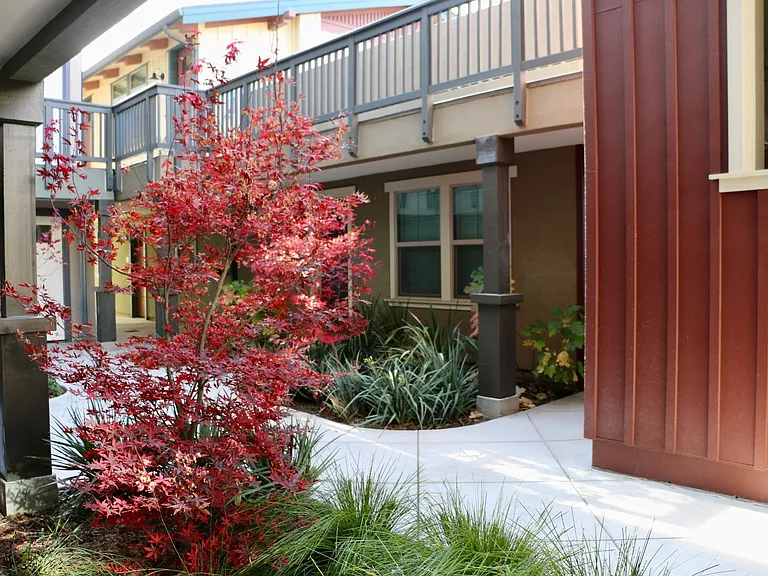 Emerald Ridge Apartments — Photo 5