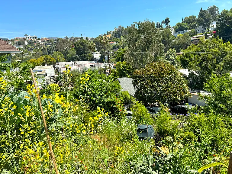 2078 Mound St — Photo 11