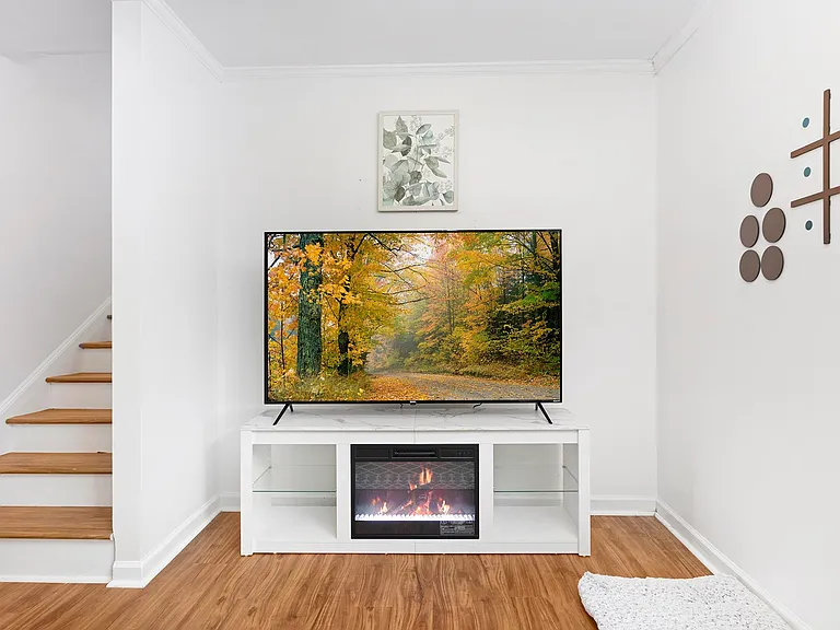 Electric fireplace in the lounge room