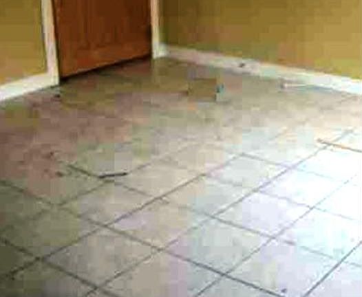 4th image of 702 W Ivy Dr