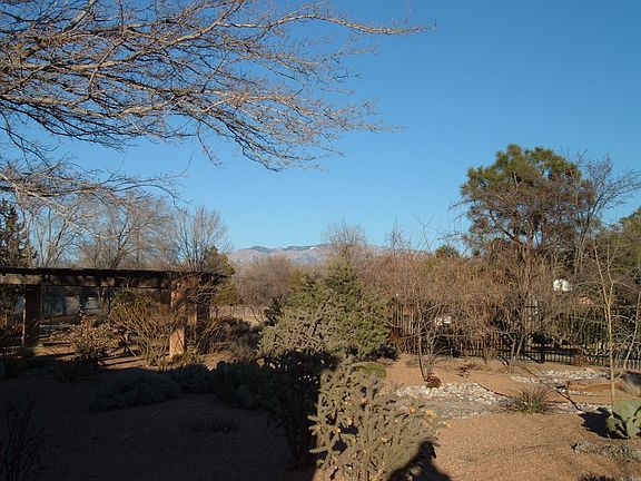 View from xeric garden