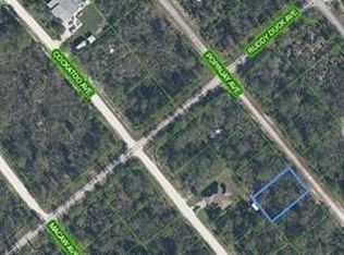 1216 Popinjay Ave, Lake Placid, FL 33852