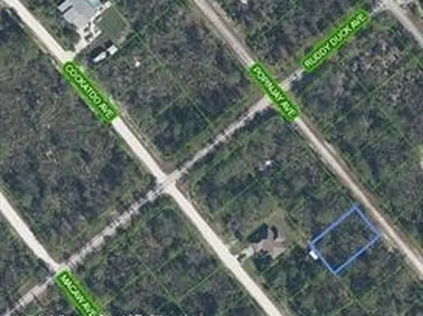 1216 Popinjay Ave, Lake Placid, FL 33852