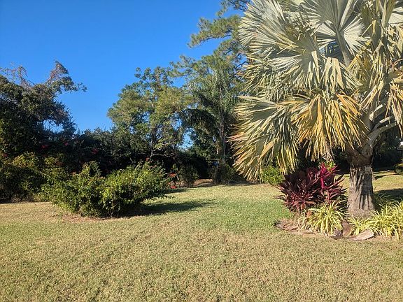 A large beautiful backyard