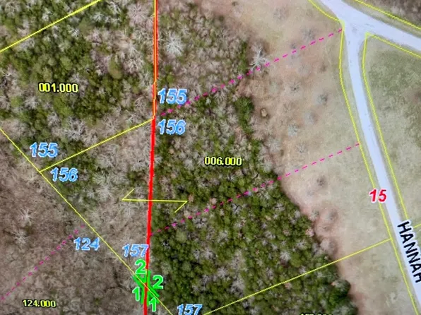 Lot 156 Hannah Circle, Cape Fair, MO 65624