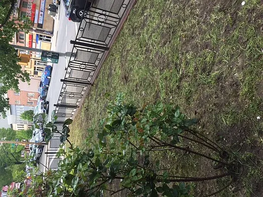 Rented by Citi Zone Realty | media 7