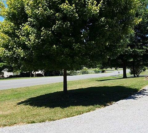 5th image of 10 Chelsea Dr