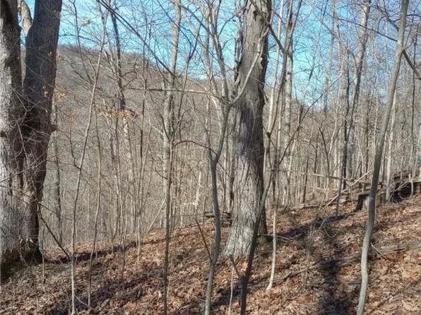 0 Road Fork Rd, Caldwell, OH 43724