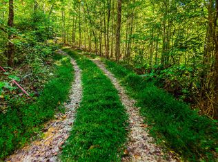 429 King Branch Rd, Sevierville, TN 37876
