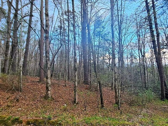 2nd image of 481 McKay Rd